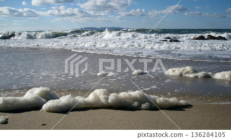 Wave flowers washed up on the shore Wave flowers washed up on the shore 136284105