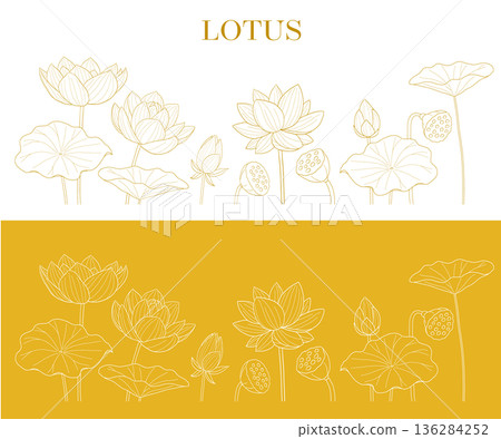 Lotus flower line drawing vector illustration Lotus flower line drawing vector illustration 136284252