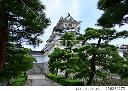 Toyama castle 136284275