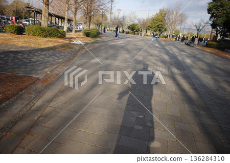 Long shadows in the early morning 136284310