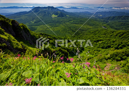 Mount Iizuna seen from the Togakushi ridgeline with spirea in bloom 136284331