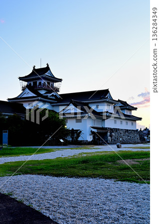 Toyama castle 136284349