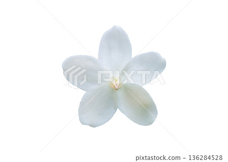 beautiful white flower isolated on white background beautiful white flower isolated on white background 136284528