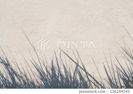 Abstract natural grass leaves shadow on white wall background Abstract natural grass leaves shadow on white wall background 136284545