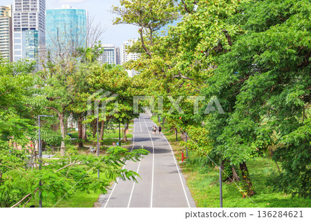 一座綠色的城市公園 136284621