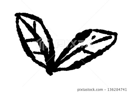An illustration of mint leaves with delicately drawn veins. Stylish botanical art-style drawing material. An illustration of mint leaves with delicately drawn veins. Stylish botanical art-style drawing material. 136284741