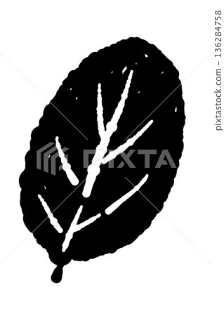 A mint illustration with realistic leaf vein texture. High-quality herb material with beautiful detailed depiction. 136284758