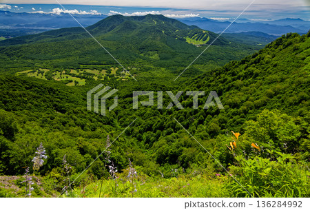 Mt. Iizuna seen from the hiking trail to Mt. Togakushi and Mt. Takatsuma, where alpine plants bloom 136284992