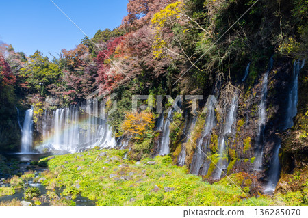 A rainbow and autumn maples shine at Shiraito Falls, a World Heritage Site in Kamiide, Fujinomiya City, Shizuoka Prefecture A rainbow and autumn maples shine at Shiraito Falls, a World Heritage Site in Kamiide, Fujinomiya City, Shizuoka Prefecture 136285070