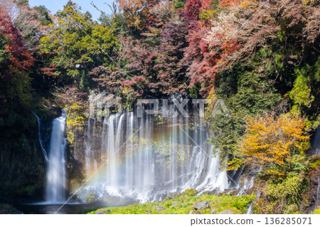 A rainbow and autumn maples shine at Shiraito Falls, a World Heritage Site in Kamiide, Fujinomiya City, Shizuoka Prefecture A rainbow and autumn maples shine at Shiraito Falls, a World Heritage Site in Kamiide, Fujinomiya City, Shizuoka Prefecture 136285071
