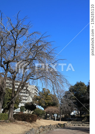 東大宮水上樂園的景色 136285110