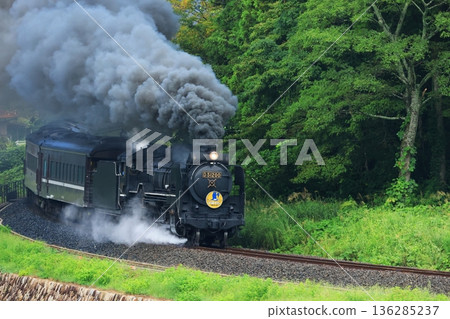 SL Yamaguchi D51 6213 136285237