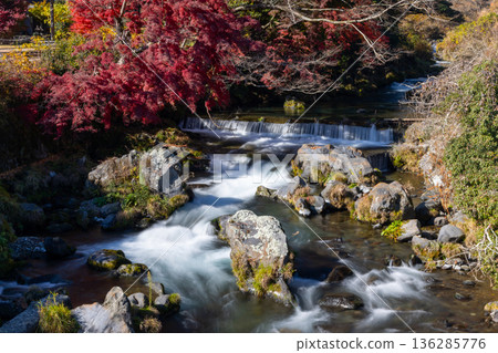 靜岡縣富士宮市上出市白絲瀑布附近的芝川流和秋葉楓樹 靜岡縣富士宮市上出市白絲瀑布附近的芝川流和秋葉楓樹 136285776