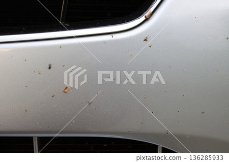 Insects on the front bumper of a car Insects on the front bumper of a car 136285933