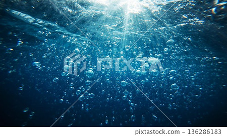 水下有光 水下有光 136286183