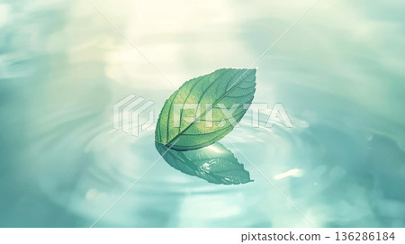一片美麗的葉子漂浮在靜謐的水面上 一片美麗的葉子漂浮在靜謐的水面上 136286184