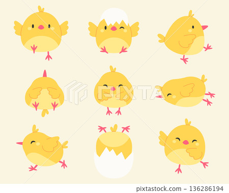 Set of funny cartoon illustrations of baby chicks isolated on a white background. Vector illustration in flat style Set of funny cartoon illustrations of baby chicks isolated on a white background. Vector illustration in flat style 136286194