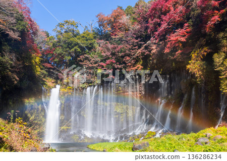 A rainbow and autumn maples shine at Shiraito Falls, a World Heritage Site in Kamiide, Fujinomiya City, Shizuoka Prefecture A rainbow and autumn maples shine at Shiraito Falls, a World Heritage Site in Kamiide, Fujinomiya City, Shizuoka Prefecture 136286234
