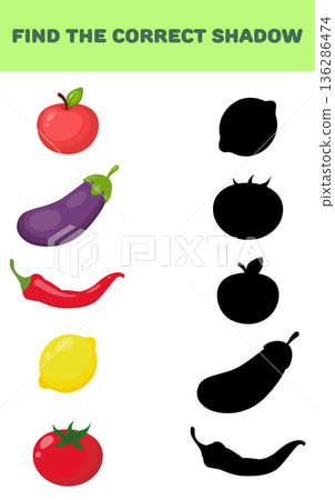 Find the right shadow. Educational games for children. Vector illustration 136286474
