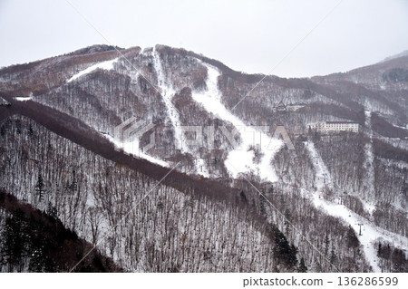 Shiga Kogen Ski Resort Central Area 136286599