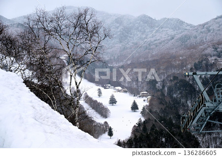 Shiga Kogen Ski Resort Central Area 136286605