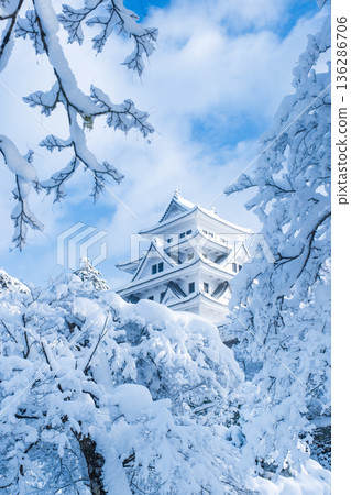 郡上八幡城(冬季) 郡上八幡城(冬季) 136286706