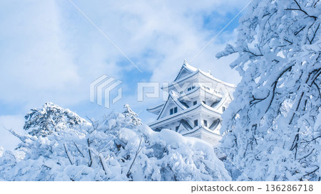 郡上八幡城（冬季） 136286718