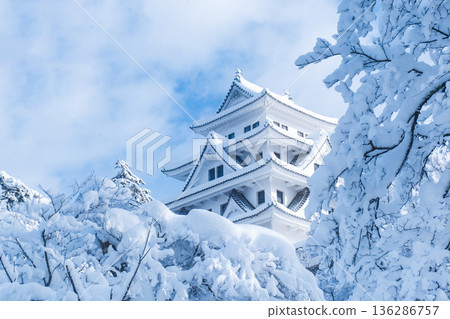 郡上八幡城（冬季） 136286757