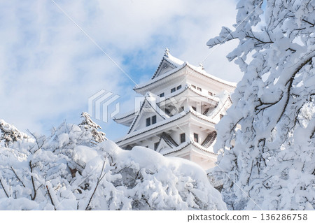 郡上八幡城（冬季） 136286758