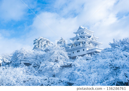 郡上八幡城（冬季） 136286761