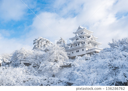 郡上八幡城（冬季） 136286762