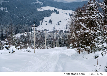 Moody landscape with footpath tracks and pine trees covered with fresh fallen snow in winter mountain forest on cold gloomy evening. 136286769
