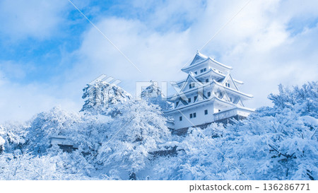 Gujo Hachiman Castle (Winter) Gujo Hachiman Castle (Winter) 136286771