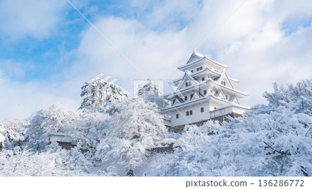 郡上八幡城(冬季) 郡上八幡城(冬季) 136286772