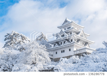 郡上八幡城（冬季） 136286778