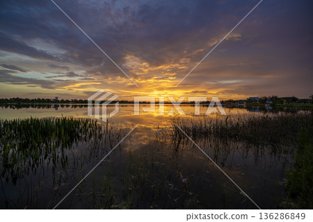Sunset landscape in Wellen park in North Port, Florida. Beautiful lake nature in evening Sunset landscape in Wellen park in North Port, Florida. Beautiful lake nature in evening 136286849