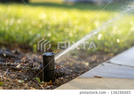 Lawn grass watering with automated sprinkler irrigation system Lawn grass watering with automated sprinkler irrigation system 136286885