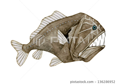 Oni-kinmedai deep-sea fish deep-sea creature watercolor illustration 136286952