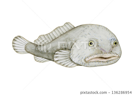 Deep-sea fish, deep-sea creature, watercolor illustration Deep-sea fish, deep-sea creature, watercolor illustration 136286954