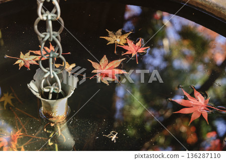 秋葉倒映在水池中 136287110