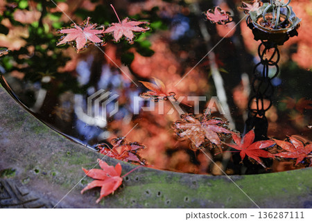 秋葉倒映在水池中 136287111