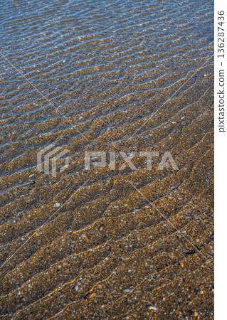 Shallow Water Ripples Over Sandy Seabed 136287436
