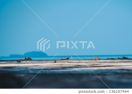 Minimal Sandy Beach with Blue Sky and Distant Horizon Minimal Sandy Beach with Blue Sky and Distant Horizon 136287444