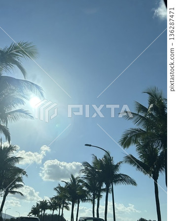 棕櫚樹和太陽 136287471