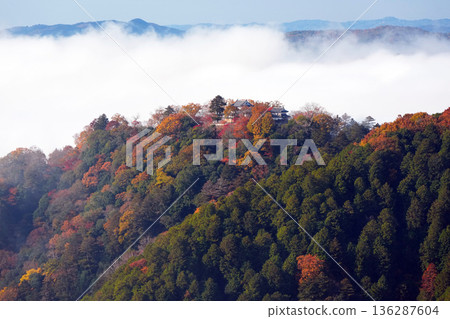 備中松山城 3740 136287604