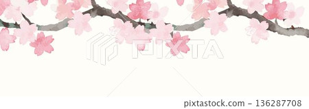 櫻花橫幅背景插圖。適用於春季活動、促銷、賞櫻、畢業典禮、入口、裝飾邊框設計材料。 136287708
