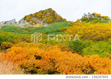 中阿爾卑斯山的秋天:千丈嶋冰鬥的秋葉 中阿爾卑斯山的秋天:千丈嶋冰鬥的秋葉 136287845
