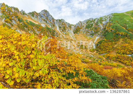 Autumn in the Central Alps: Autumn leaves at Senjojiki Cirque Autumn in the Central Alps: Autumn leaves at Senjojiki Cirque 136287861