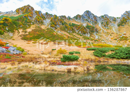 中阿爾卑斯山的秋天：千丈嶋冰鬥的秋葉 136287867