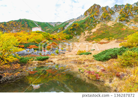 Autumn in the Central Alps: Autumn leaves at Senjojiki Cirque Autumn in the Central Alps: Autumn leaves at Senjojiki Cirque 136287872
